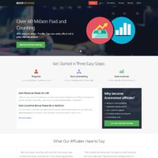 Ace Revenue