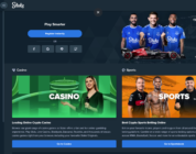 Exploring the World of Virtual Sports Betting at Stake Online Casino