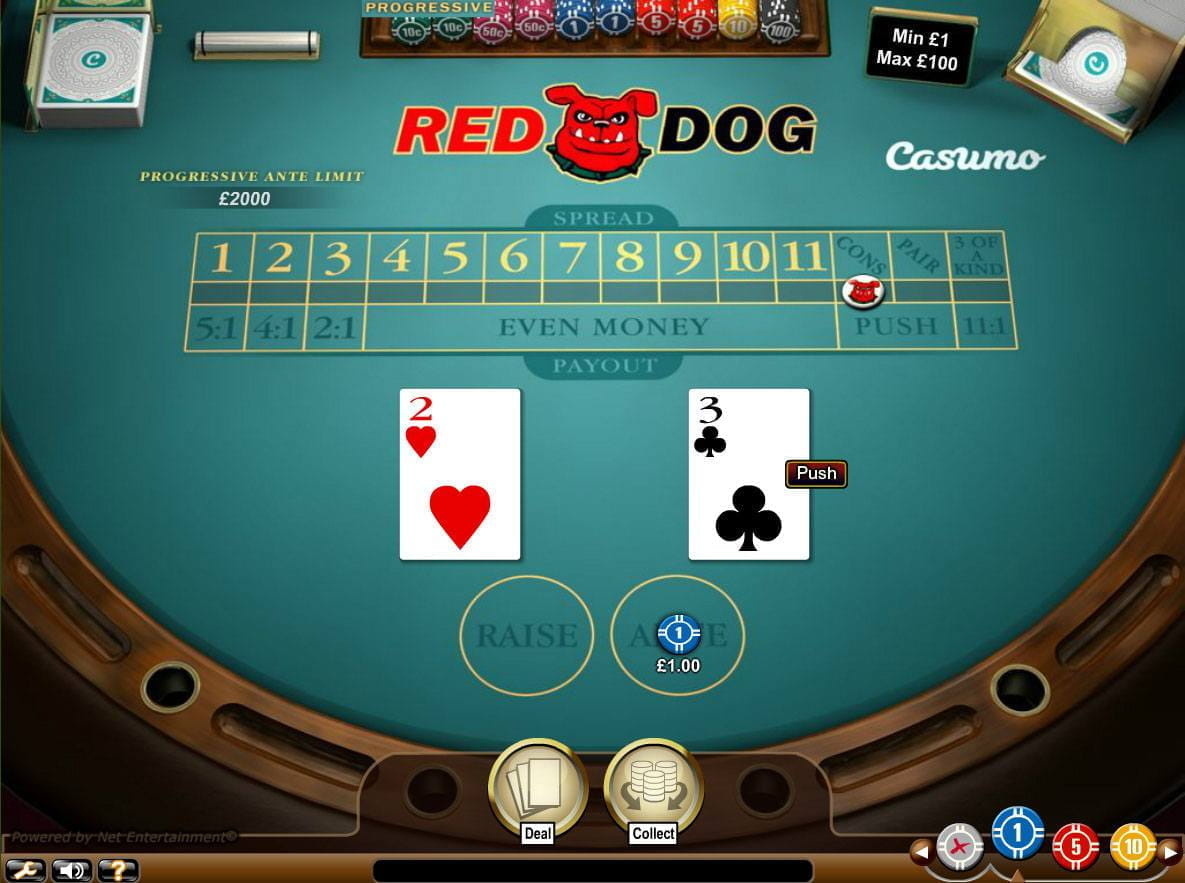 A Beginner's Guide to Playing at Red Dog Online Casino