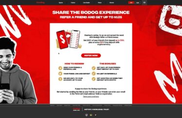 Bodog Casino Online Site Video Review