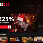The Future of Red Dog Online Casino: What Players Can Expect in the Coming Years
