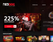 The Future of Red Dog Online Casino: What Players Can Expect in the Coming Years