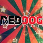 The history and evolution of Red Dog Online casino