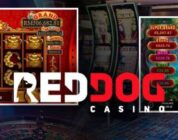 Top 10 Most Popular Games at Red Dog Online Casino
