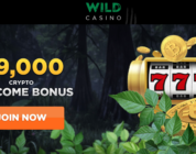 Is Wild Casino Online Safe and Fair? A Comprehensive Review