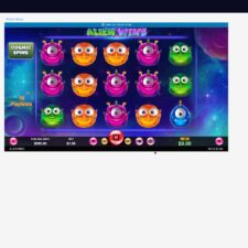 Cool Cat Casino