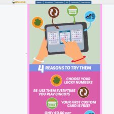 Cyber Bingo Casino