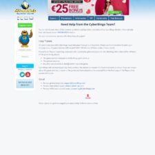 Cyber Bingo Casino