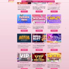 Bingo Fest Casino