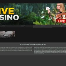 Wild Casino