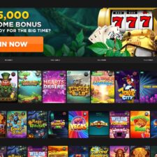 Wild Casino
