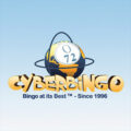 Cyber Bingo Casino Online Site Video Review
