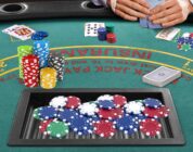How to Play Table Games Like a Pro at Cool Cat Casino Online