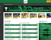 Mr Green Casino's Loyalty Program: How to Get the Most Out of It