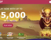 The Best Bonuses and Promotions Available at Slots Com Casino Online