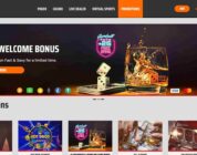 The Ultimate Guide to Ignition Casino Online's Loyalty Program