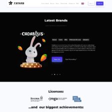 7 Stars Partners