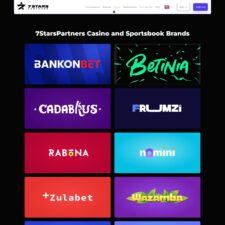 7 Stars Partners