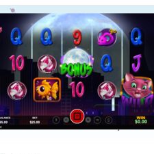 Spinfinity Casino