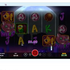 Spinfinity Casino