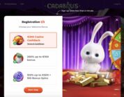 The Best Table Games to Try at Cadabrus Casino