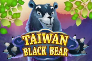 Taiwan Black Bear