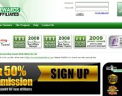 Top 10 Online Casinos to Promote as a Rewards Affiliates